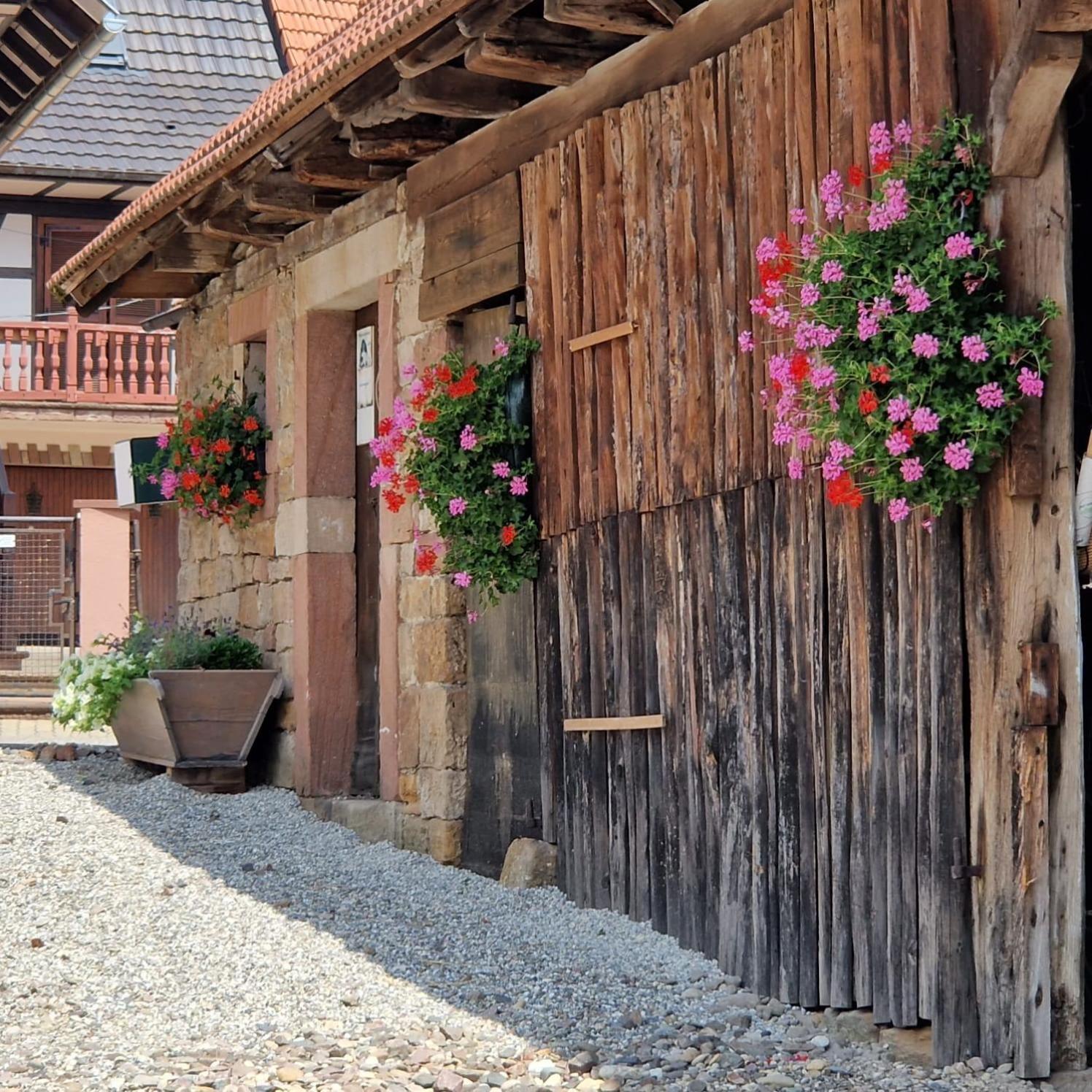 Chambres D'Hotes Chez Linda Stephane Le Passe Compose Preuschdorf Екстер'єр фото